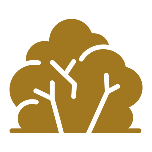 Screening plants for privacy